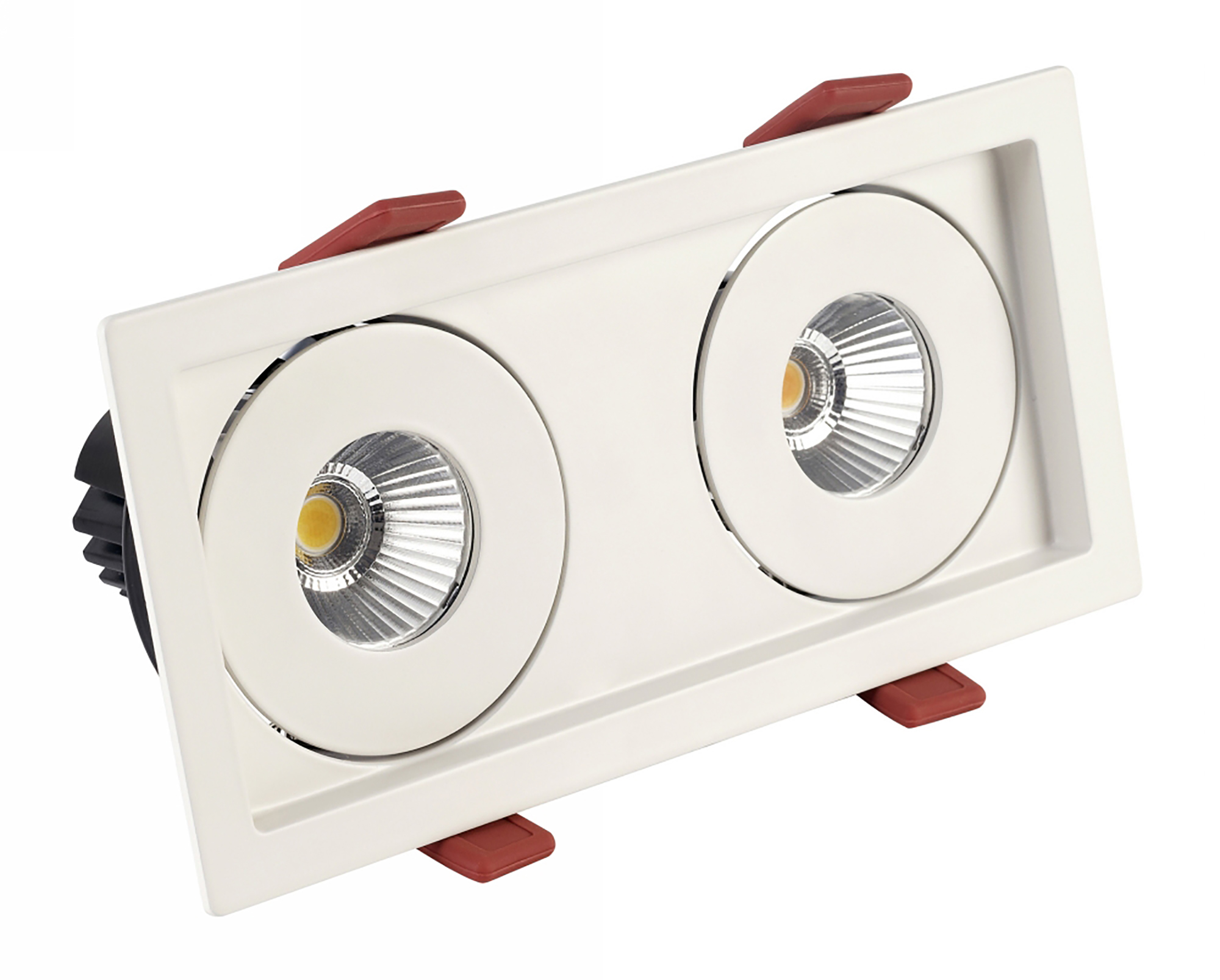 BIZZ 12-2 Recessed Ceiling Luminaires Dlux Multi-Head Recess Ceiling BIZZ 12-2 Recessed Ceiling Luminaires Dlux Multi-Head Recess Ceiling